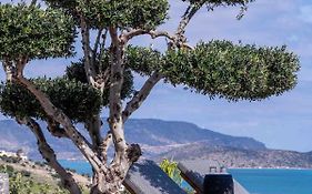 The Olive Tree Villa Elounda